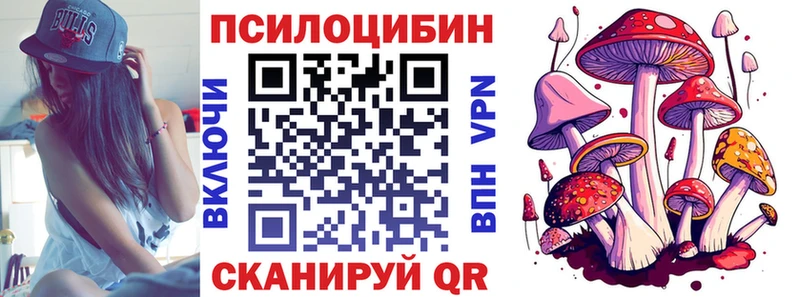 mega рабочий сайт  Кудымкар  Галлюциногенные грибы MAGIC MUSHROOMS 