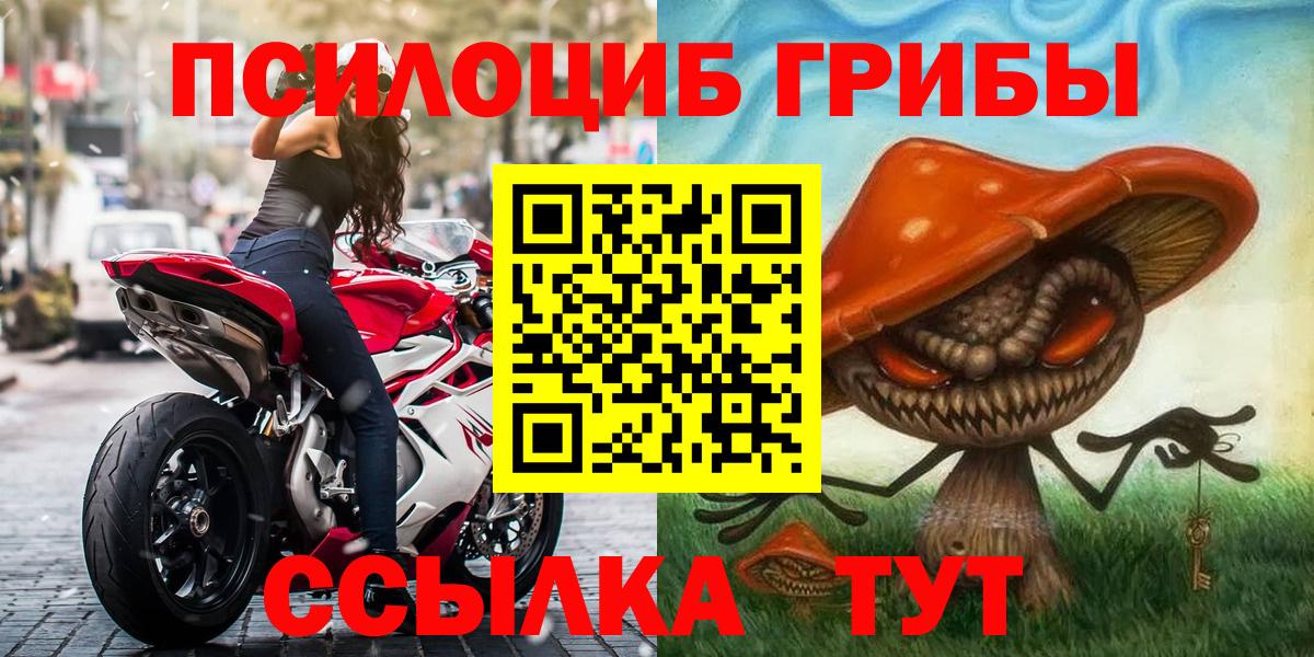 Псилоцибиновые грибы мухоморы  Псилоцибиновые грибы мицелий  купить  сайты  Вход с VPN  Кудымкар 